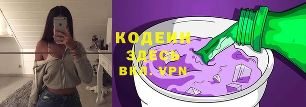 индика Осинники