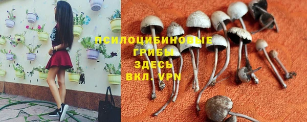 ГАЛЛЮЦИНОГЕННЫЕ ГРИБЫ Пересвет