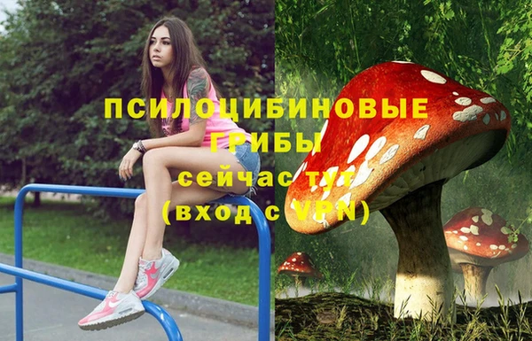 ГАЛЛЮЦИНОГЕННЫЕ ГРИБЫ Пересвет
