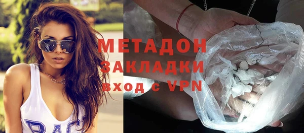 индика Осинники