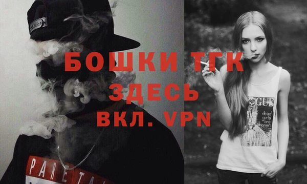 индика Осинники