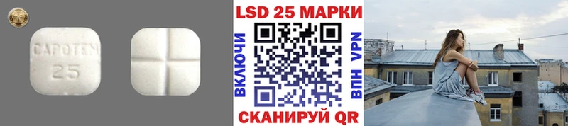 что такое   Приозерск  LSD-25 экстази кислота 