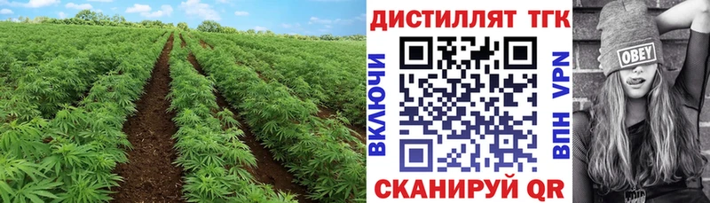 Дистиллят ТГК Wax  hydra зеркало  Приозерск 