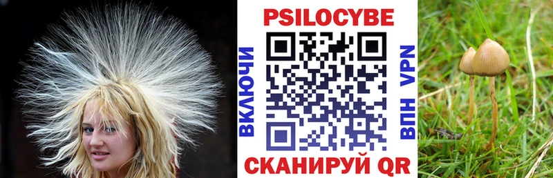 сколько стоит  Приозерск  Галлюциногенные грибы мицелий 